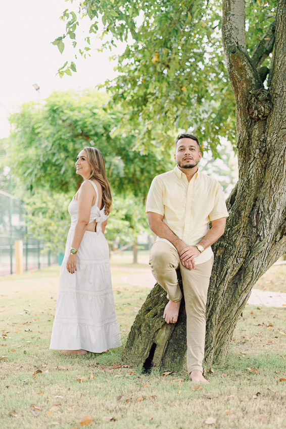 Descripción de la imagen 28